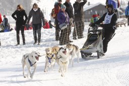 Lenk 2012 SM